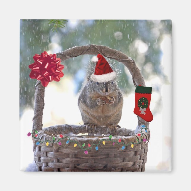 Aimant Écureuil de Noël dans le panier de neige (Devant)