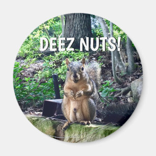 Aimant Écureuil Drôle Deez Nuts Humour Inapproprié Photo