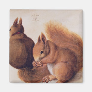Aimant Écureuils, 1512