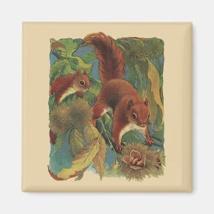 Aimant Écureuils vintages, Créatures Forestières, Animaux