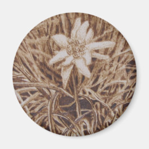 Aimant Edelweiss - alpina de Stella