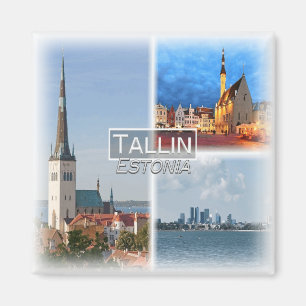 Aimant EE0004 Europe, Estonie, Tallin, Frigo