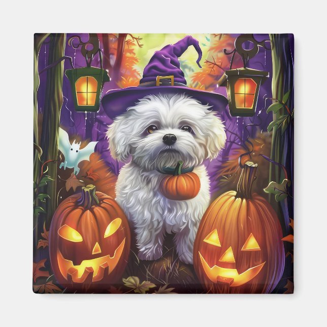 Aimant Éffrayant Bichon Frise Halloween sorcière et Citro (Devant)