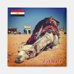 Aimant EG - Egypte - Camel fatigué