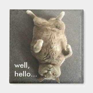 Aimant "Eh bien, bonjour..." de Fiona, le chat Bleu Brita