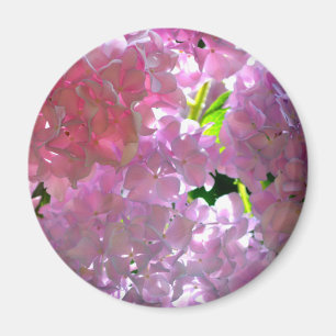 Aimant Élégant boho rose florales fleurs hydrangées