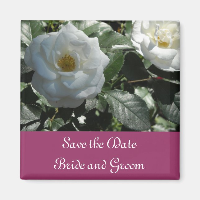 Aimant Élégant Faire-Part de Rose Blanche (Devant)