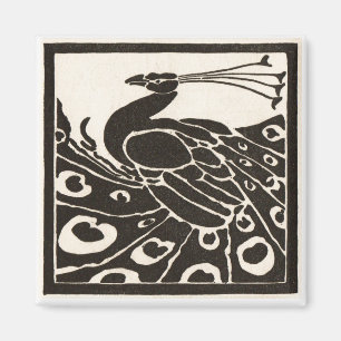 AIMANT ÉLÉGANT PEACOCK BLANC NOIR