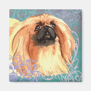 Aimant Elégant Pekingese
