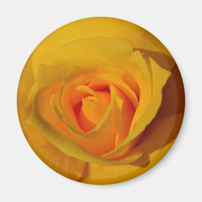 Aimant Élégante fleur florale Rose jaune (Devant)