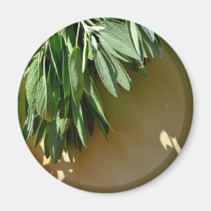 Aimant Elégante plante verte feuille sauge