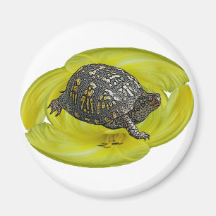 Aimant Éléments de coordination de la tortue de boîte ori