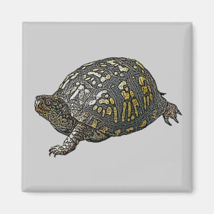 Aimant Éléments de coordination de la tortue de boîte ori