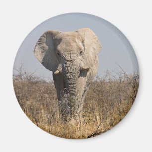 Aimant Eléphant