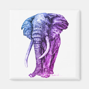 Aimant Éléphant