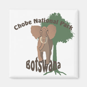 Aimant Eléphant du parc national de Chobe