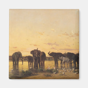 Aimant Éléphants africains