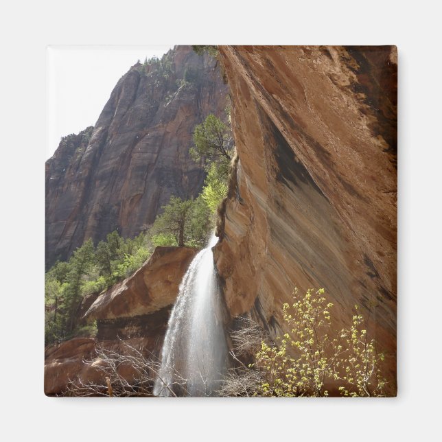 Aimant Emerald Pool Falls III du parc national Zion (Devant)