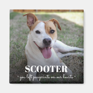 Aimant Empreintes Photo De Chien Sur Notre Coeur