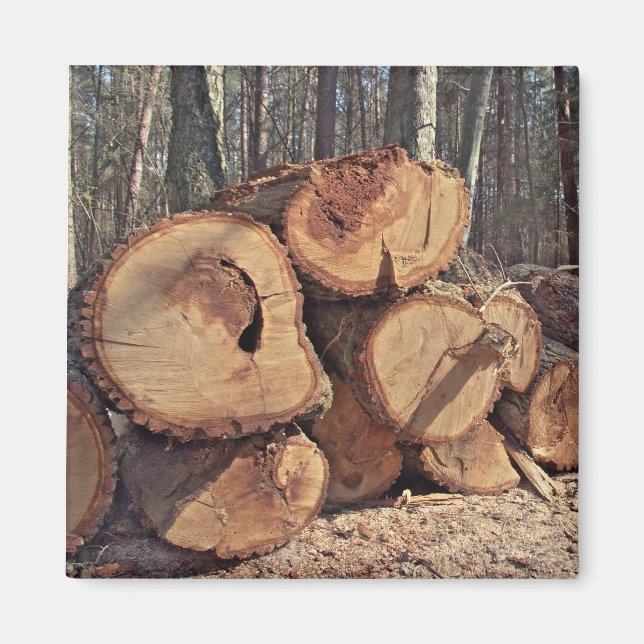 Aimant en bois (Devant)