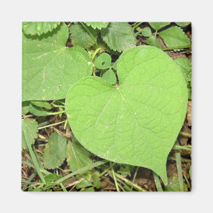 Aimant en forme de coeur