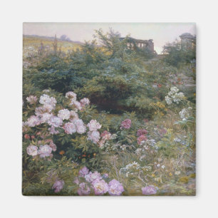 Aimant En pleine floraison