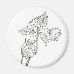 Aimant encre Iris
