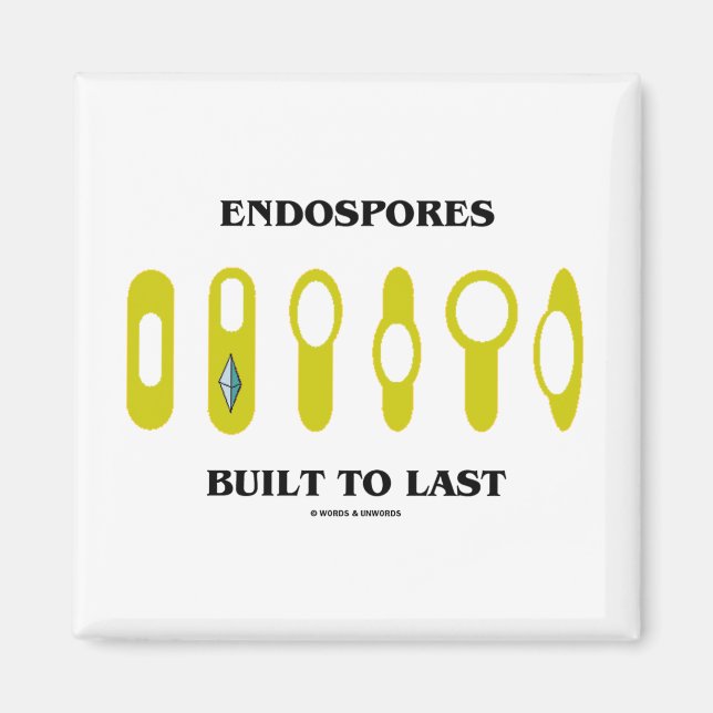 Aimant Endospores Construites À Dernier (Attitude Bactéri (Devant)
