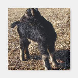 Aimant Enfant noir et tan