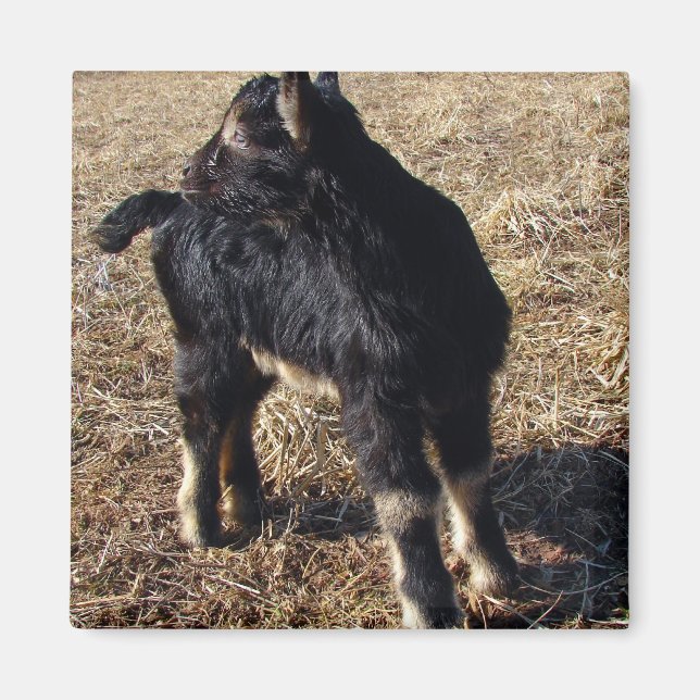 Aimant Enfant noir et tan (Devant)