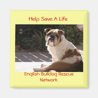 Aimant English Bulldog Secourt Network - Customisé