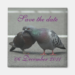 Aimant enregistrer la date avec les pigeons