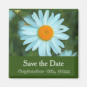 Aimant enregistrer la date, blanc pur fleur de marguerite