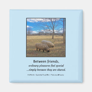 Aimant Entre Amis...