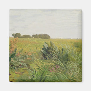 Aimant Entre Geest et marais, c.1880
