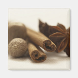 Aimant Épices de vacances