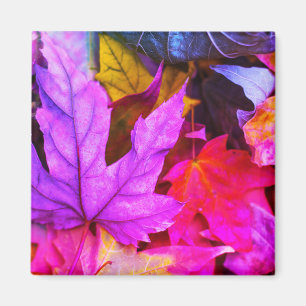Aimant Érable d'automne feuille coloré nature d'automne