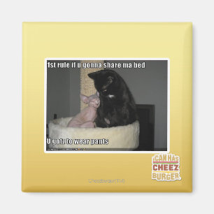 Aimant ?ère règle si u allant partager le lit de mA