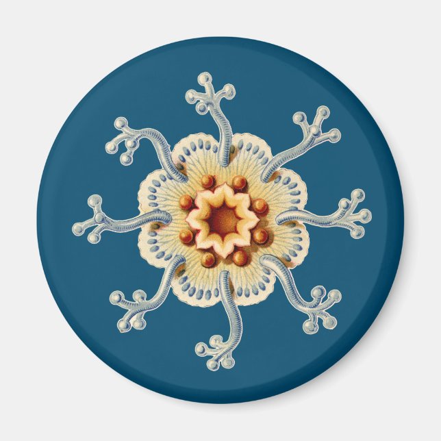 Aimant Ernst Haeckel (Devant)