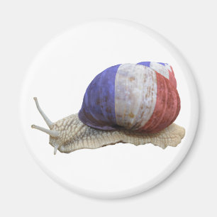 Aimant Escargot français de drapeau