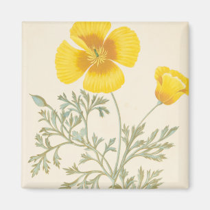 Aimant Eschscoltzia californienne