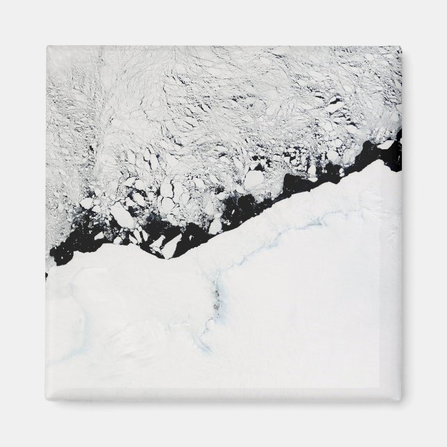 Aimant Est de l'Antarctique - Terre-Neuve-et-Labrador (Devant)
