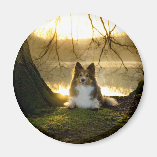 Aimant étagère (Devant)