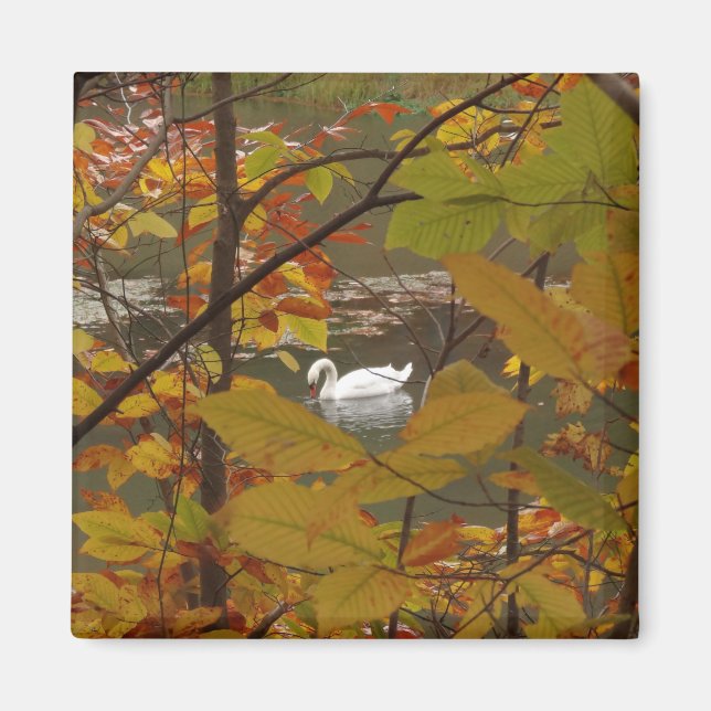 Aimant Étang d'automne avec cygne (Devant)