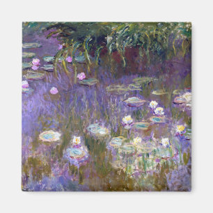 Aimant Etang Lily, Monet