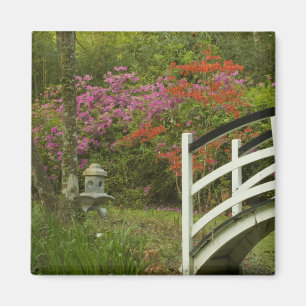 Aimant États-Unis; Caroline du Sud; Charleston; 5