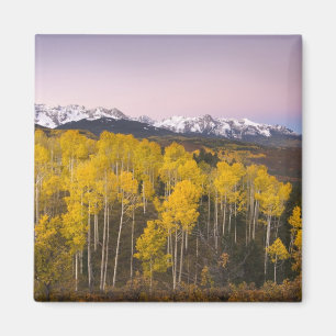 Aimant États-Unis, Colorado, Montagnes Rocheuses. Aube d