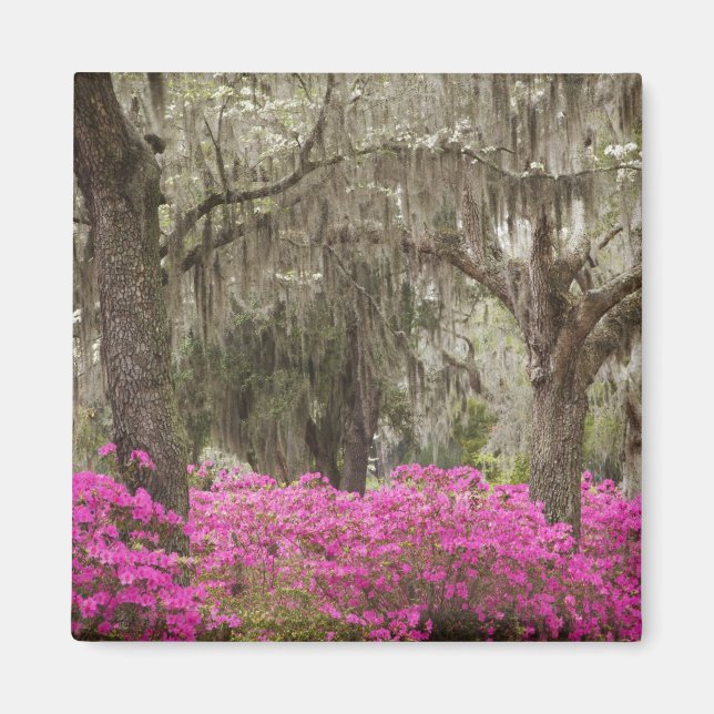 Aimant Etats-Unis, Géorgie, Savannah, Printemps de l'hist (Devant)