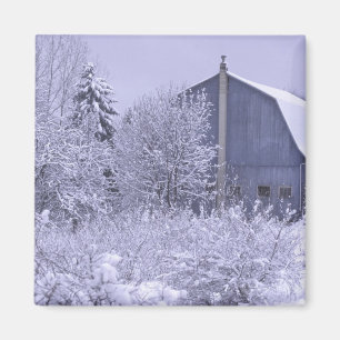 Aimant États-Unis, Michigan, Rochester Hills. Bleu enneig