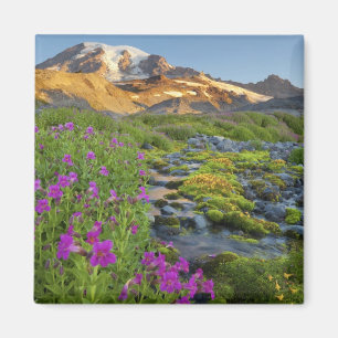 Aimant États-Unis, Mt. Rainier National Park, Washington.